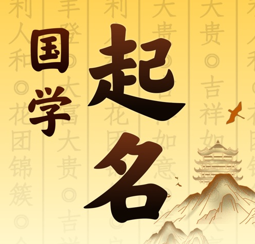 顺河国学起名 人工起名一对一